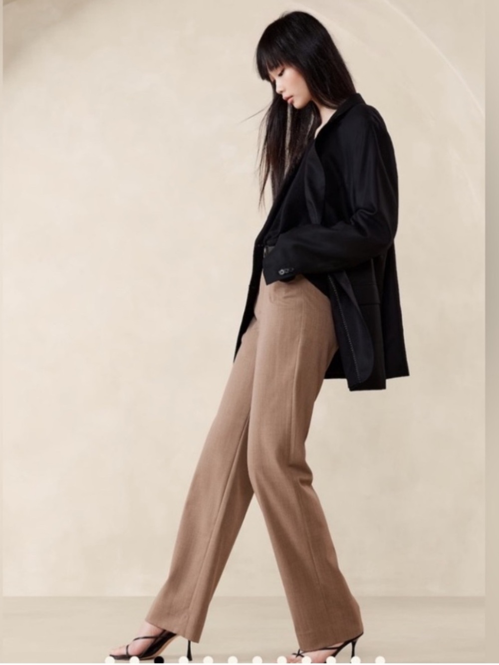 Banana Republic Brown Straight Leg Dress Pants Size 8L